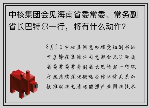 中核集团会见海南省委常委、常务副省长巴特尔一行，将有什么动作？